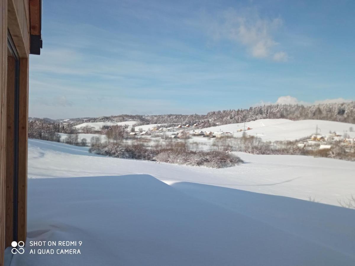 Domek Na Wzgorzu Villa Orelec Luaran gambar